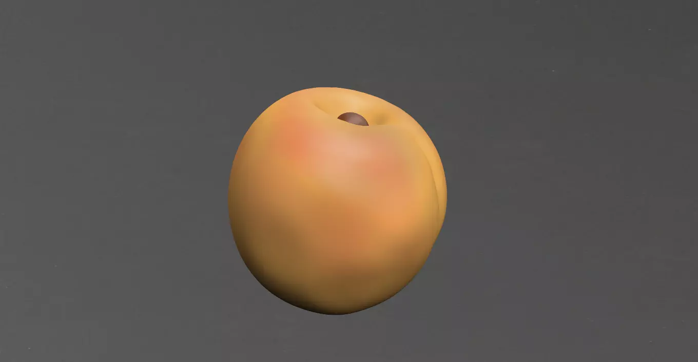 Apricot coffee bean Low-poly 3D model_0