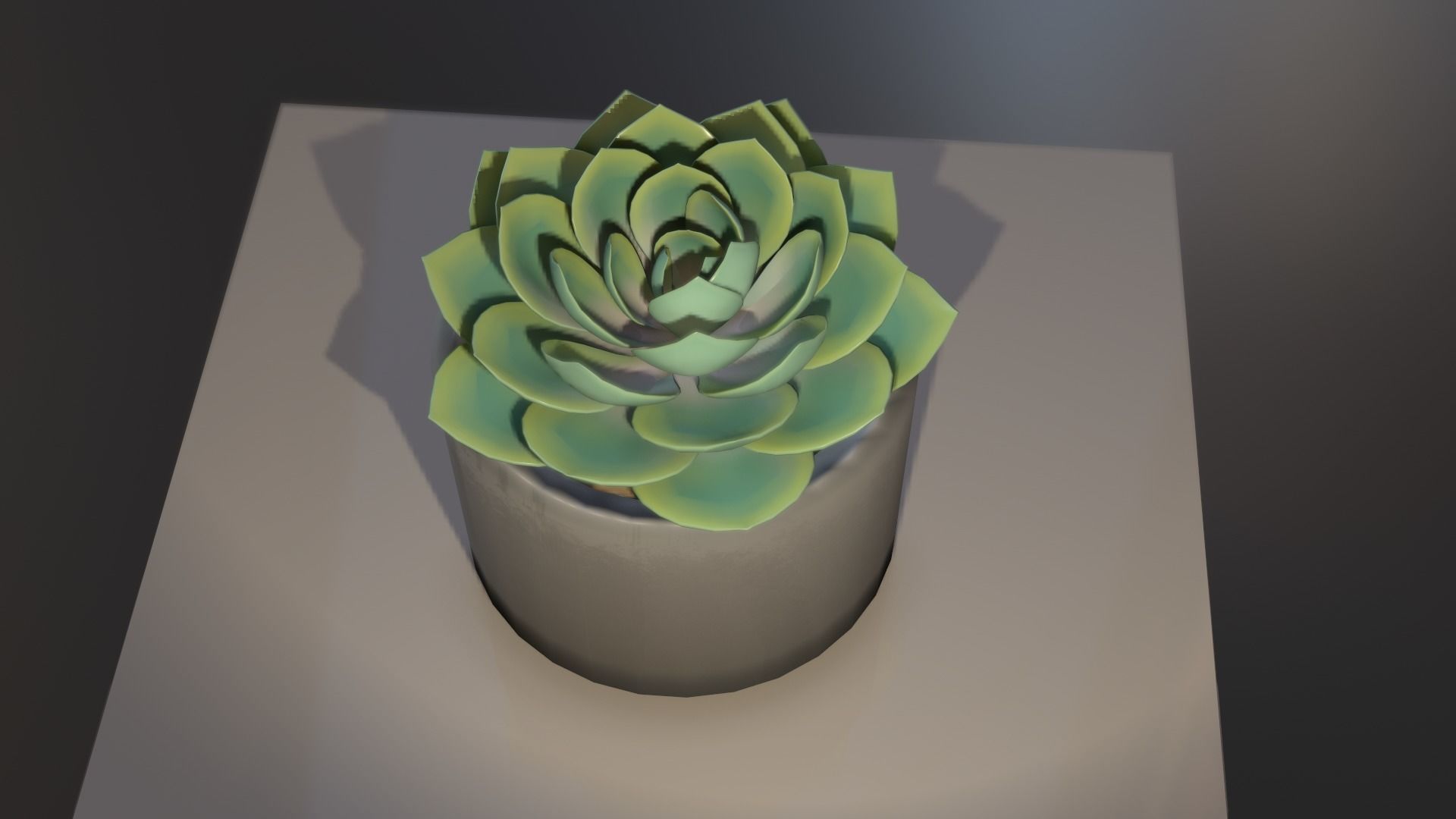 Succulent plant in pot on table 3D model_4
