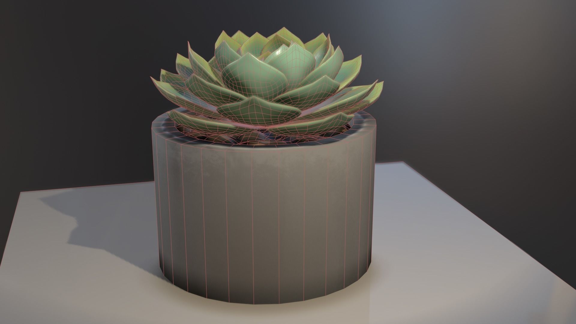 Succulent plant in pot on table 3D model_3
