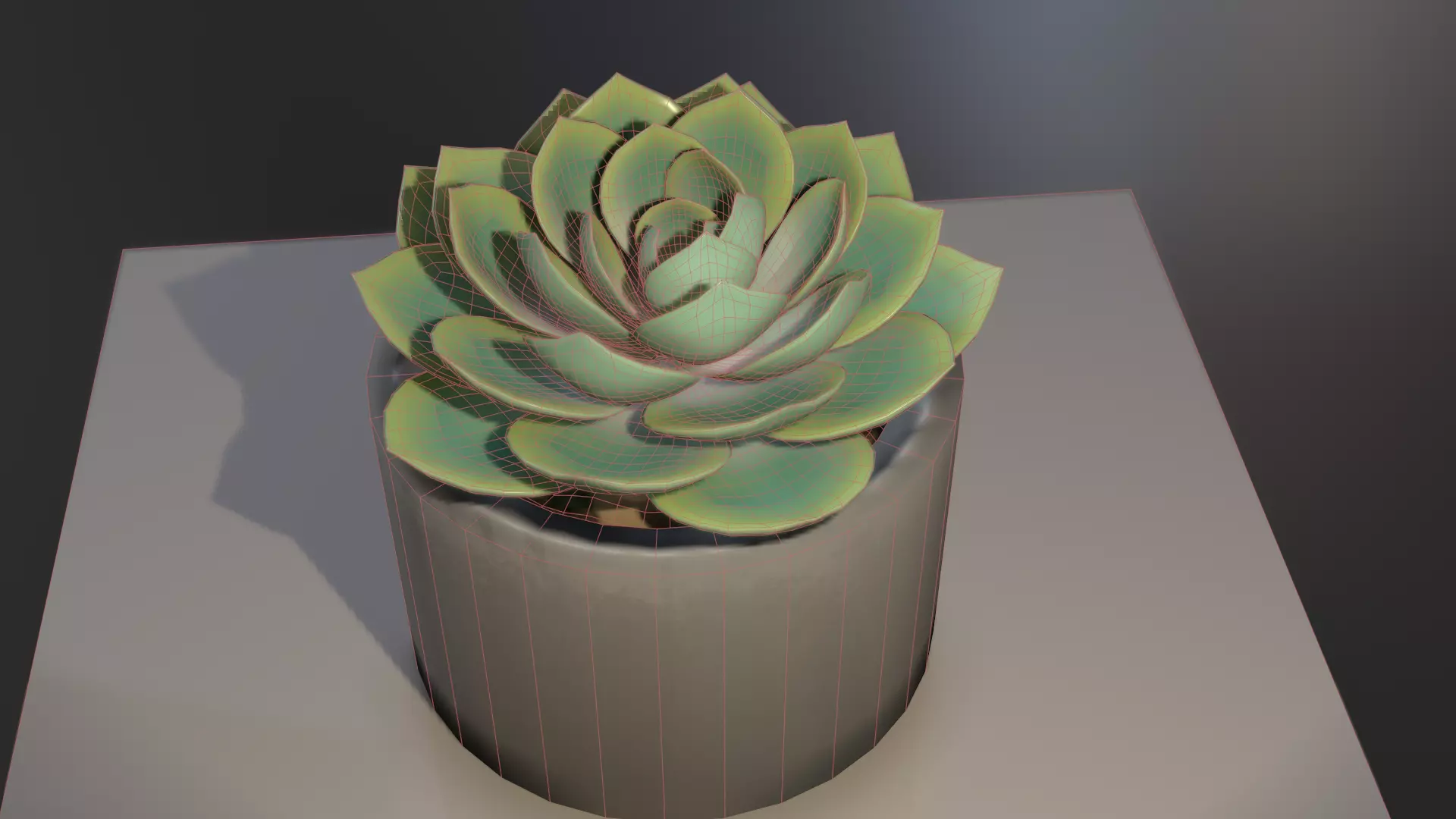 Succulent plant in pot on table 3D model_0