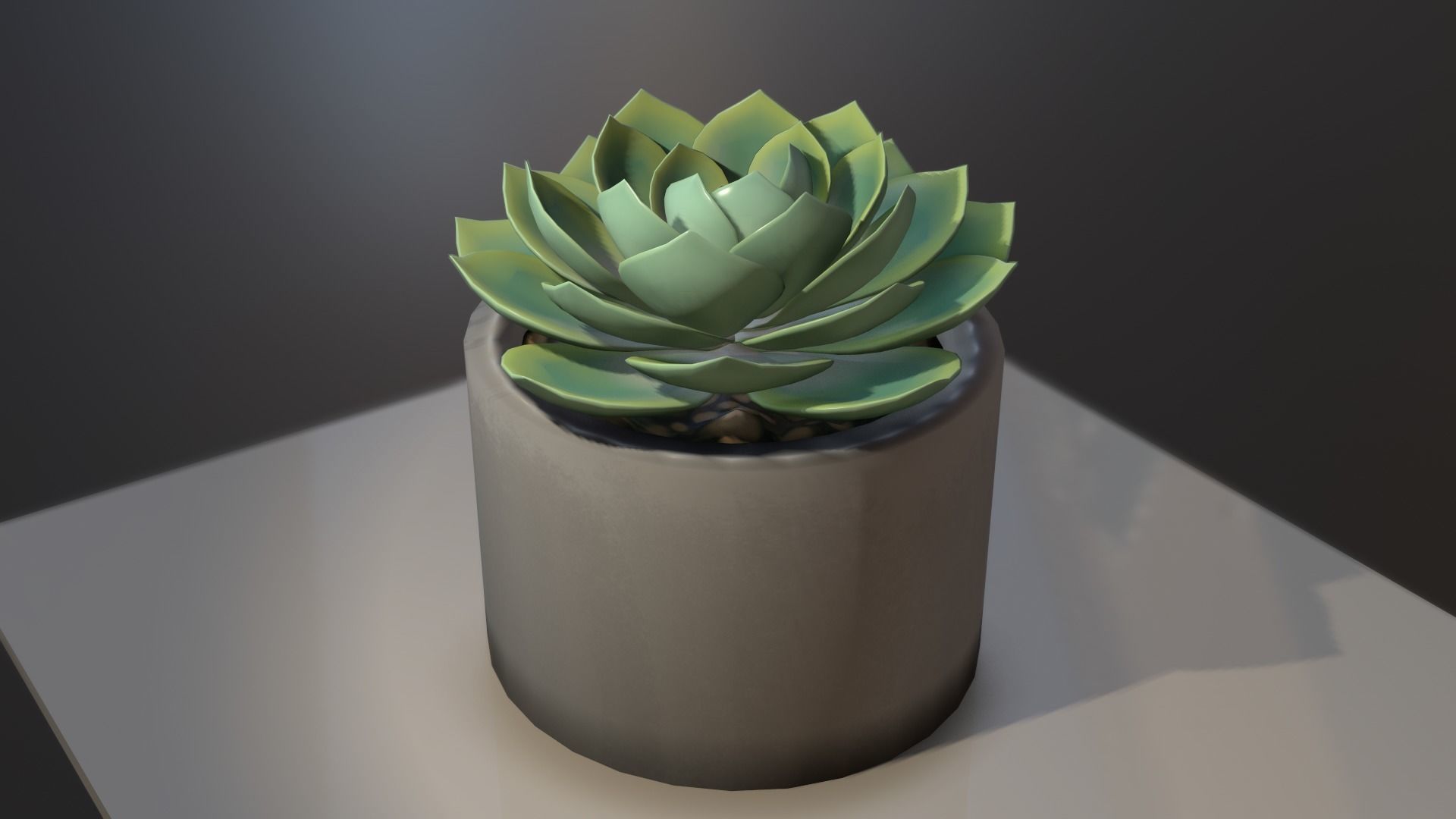 Succulent plant in pot on table 3D model_1