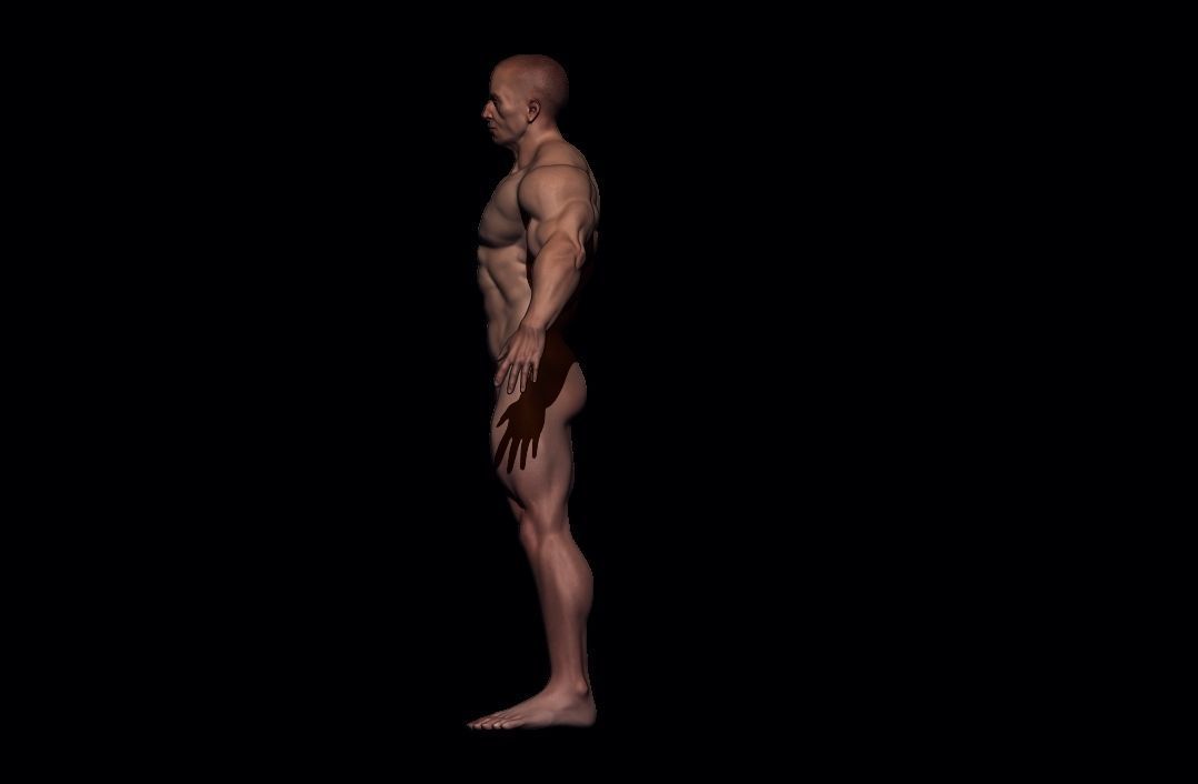 BODYBUILDER BSE MESH  Low-poly 3D model_6