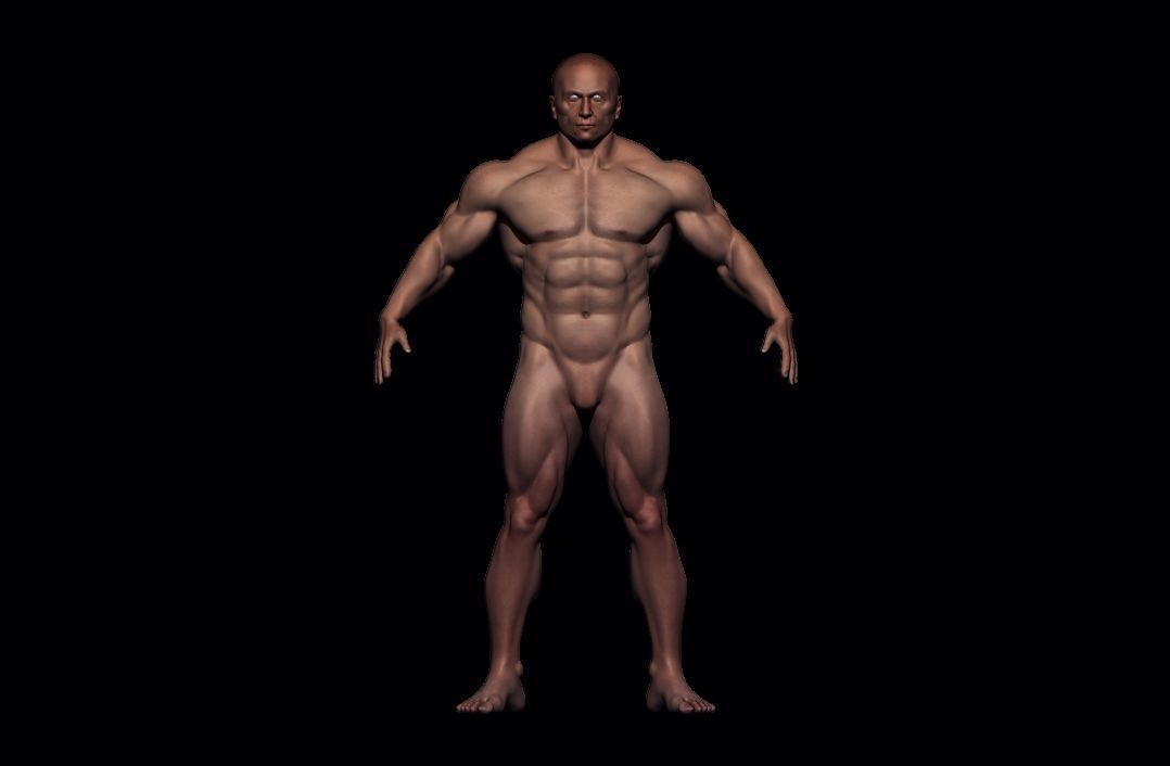 BODYBUILDER BSE MESH  Low-poly 3D model_7