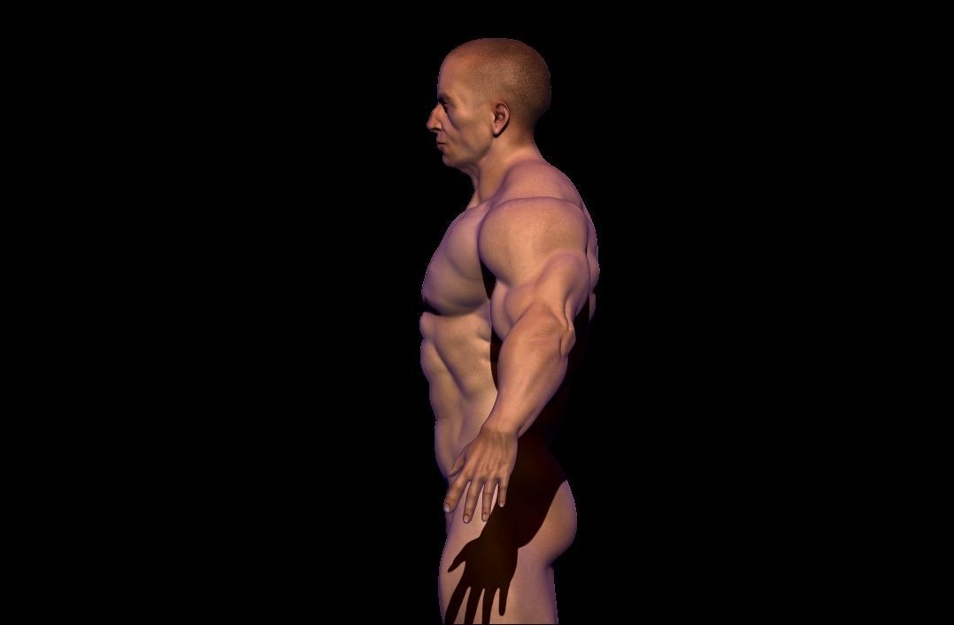 BODYBUILDER BSE MESH  Low-poly 3D model_3