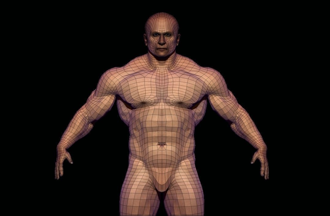 BODYBUILDER BSE MESH  Low-poly 3D model_9