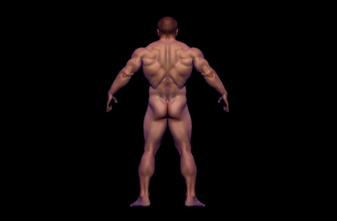 BODYBUILDER BSE MESH  Low-poly 3D model_5