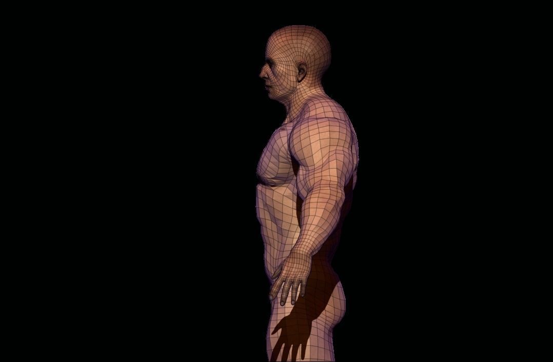 BODYBUILDER BSE MESH  Low-poly 3D model_8