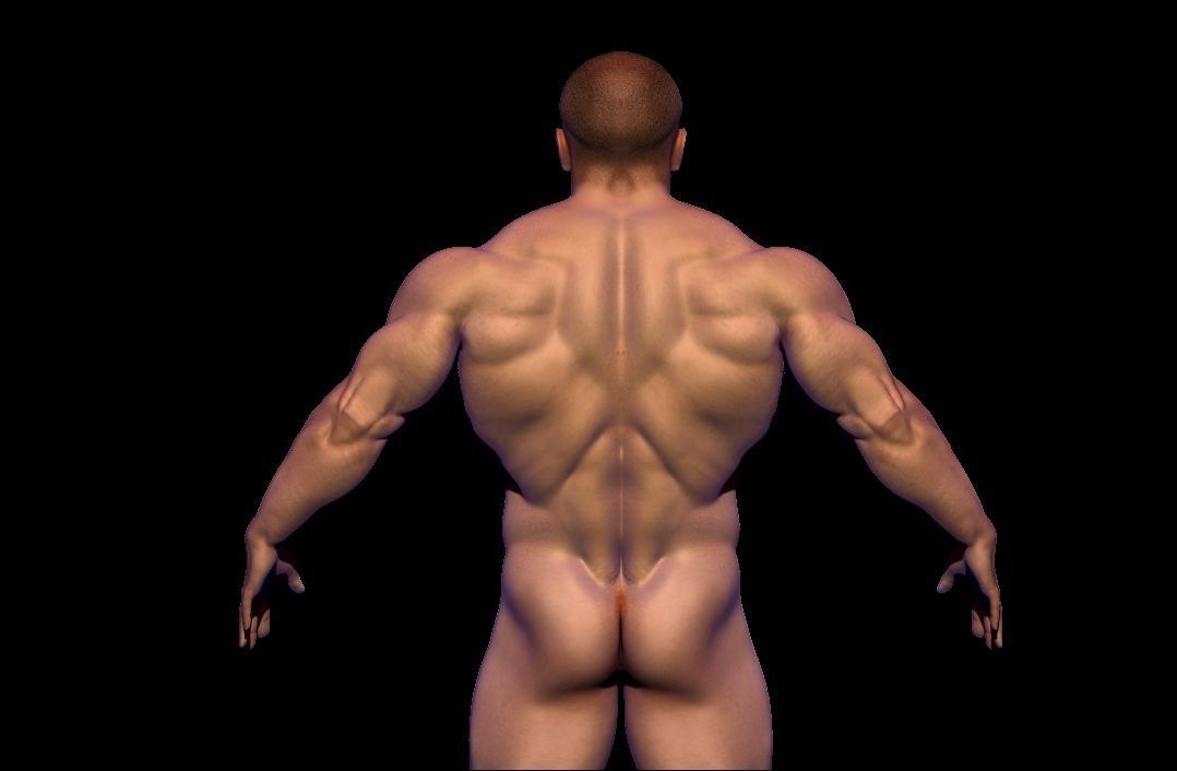 BODYBUILDER BSE MESH  Low-poly 3D model_2