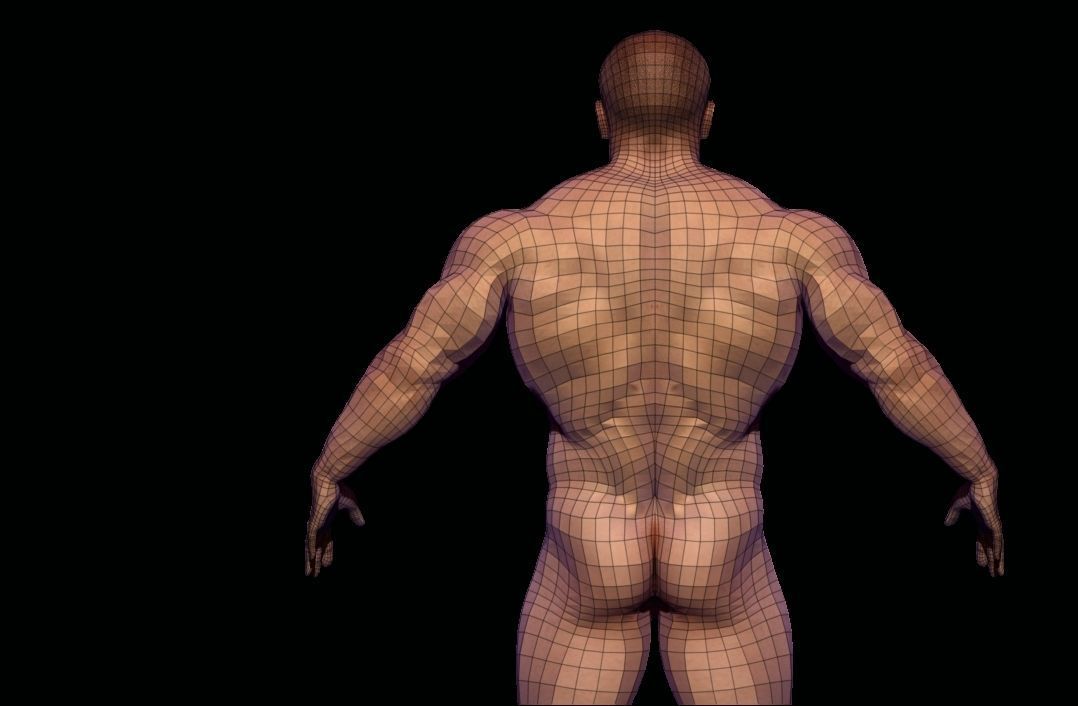 BODYBUILDER BSE MESH  Low-poly 3D model_4