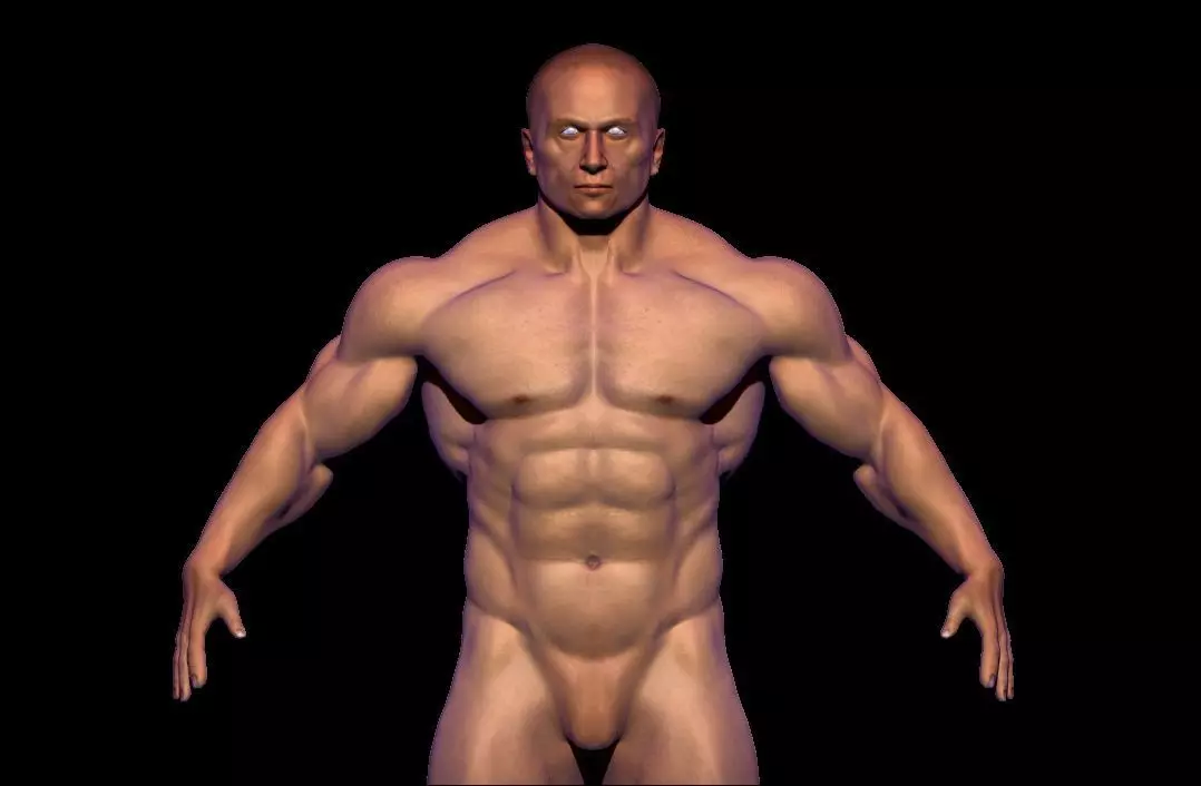 BODYBUILDER BSE MESH  Low-poly 3D model_0