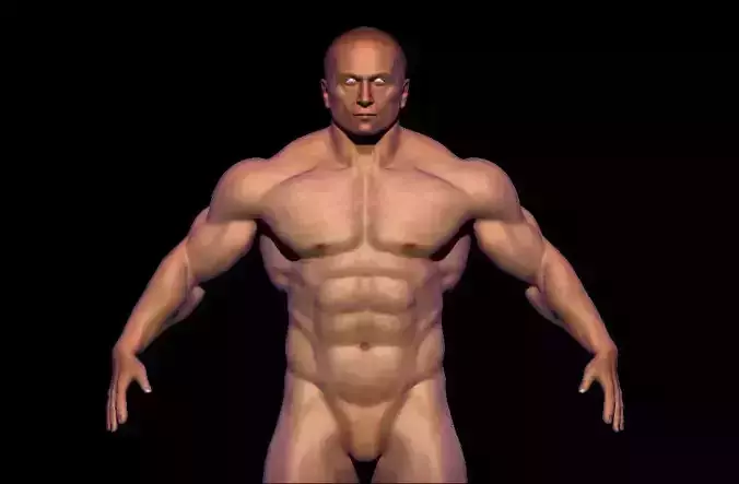 BODYBUILDER BSE MESH  Low-poly 3D model