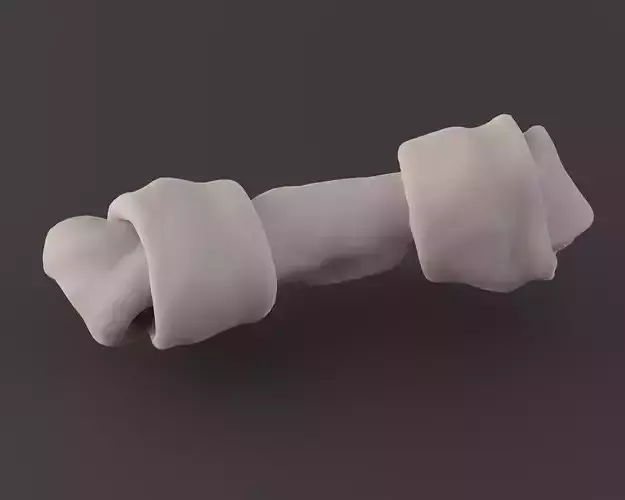Photoscanned Realistic Dog Bone