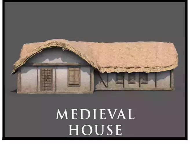 Medieval Village House 11