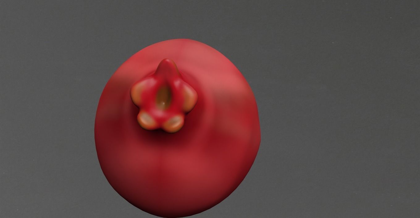 Pomegranate Low-poly 3D model_13