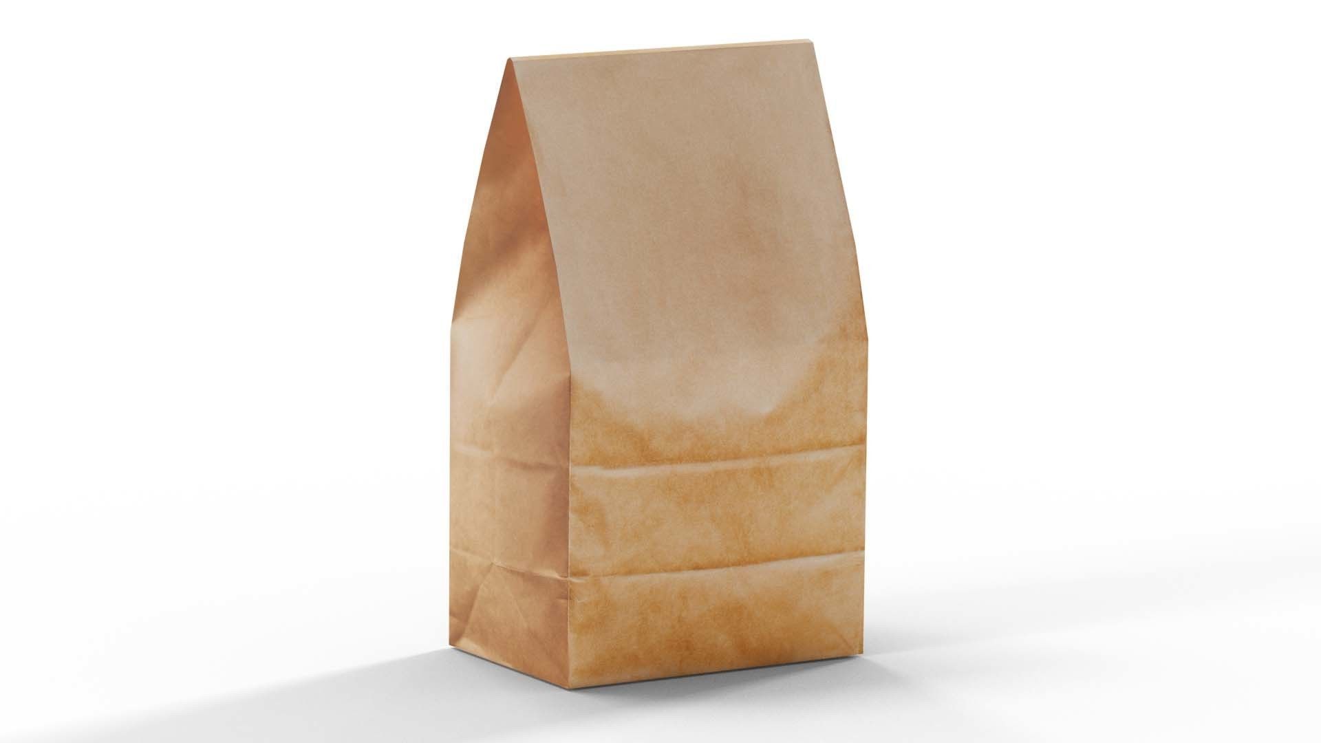 Brown Paper Bag Low-poly 3D model_1