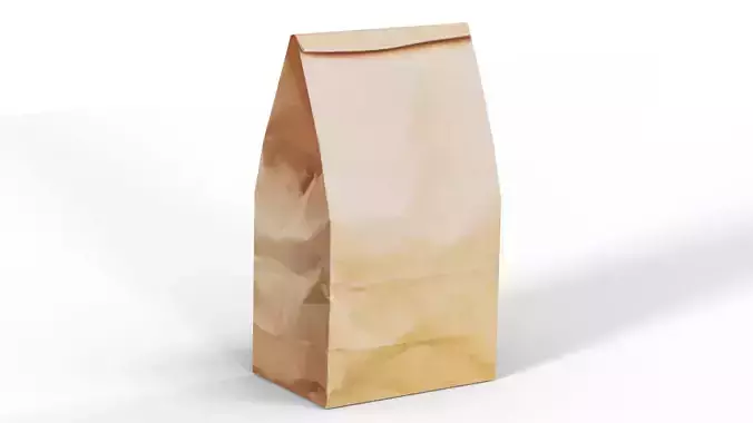 Brown Paper Bag