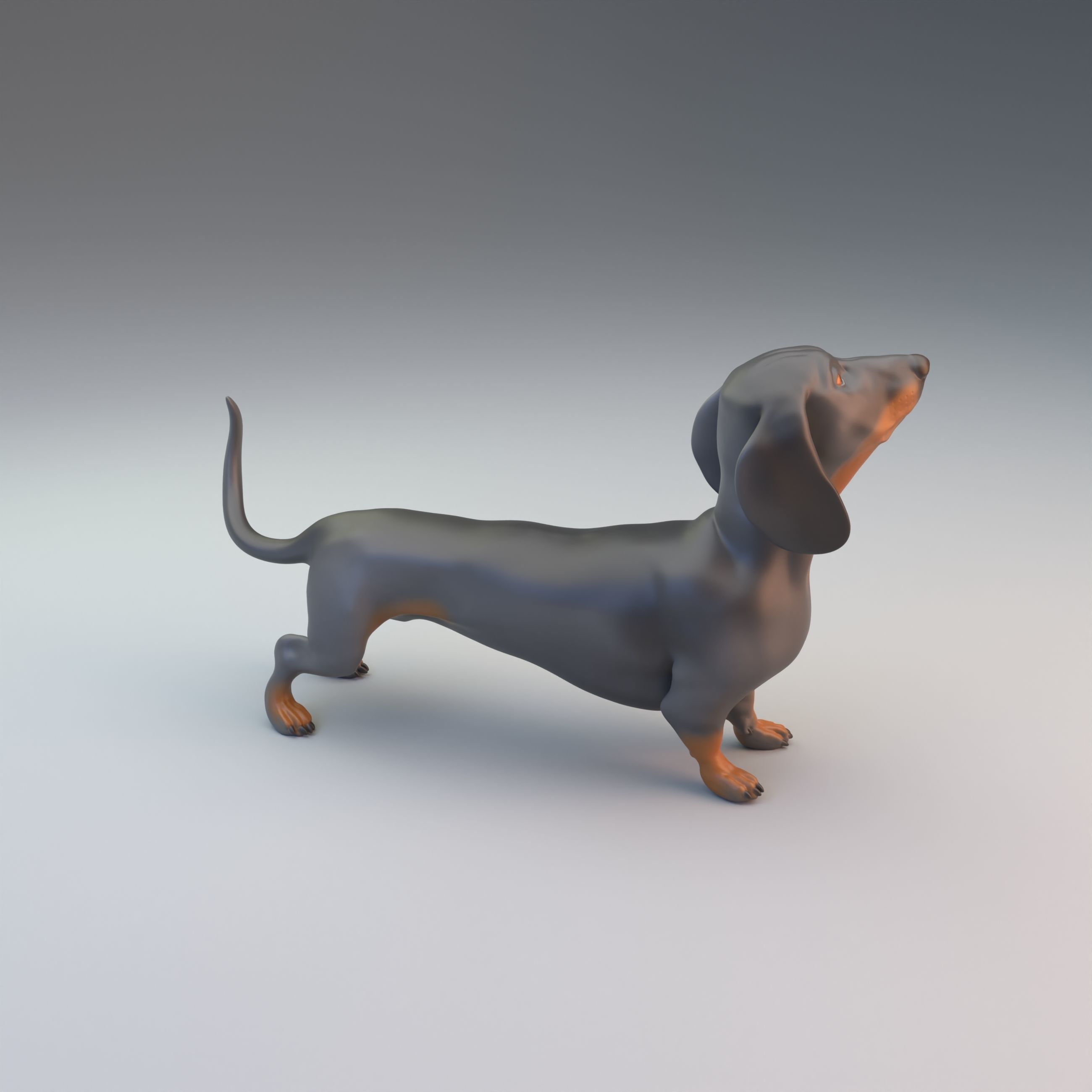 Dachshund intended for 3D printing - pre supported 3D print model_6