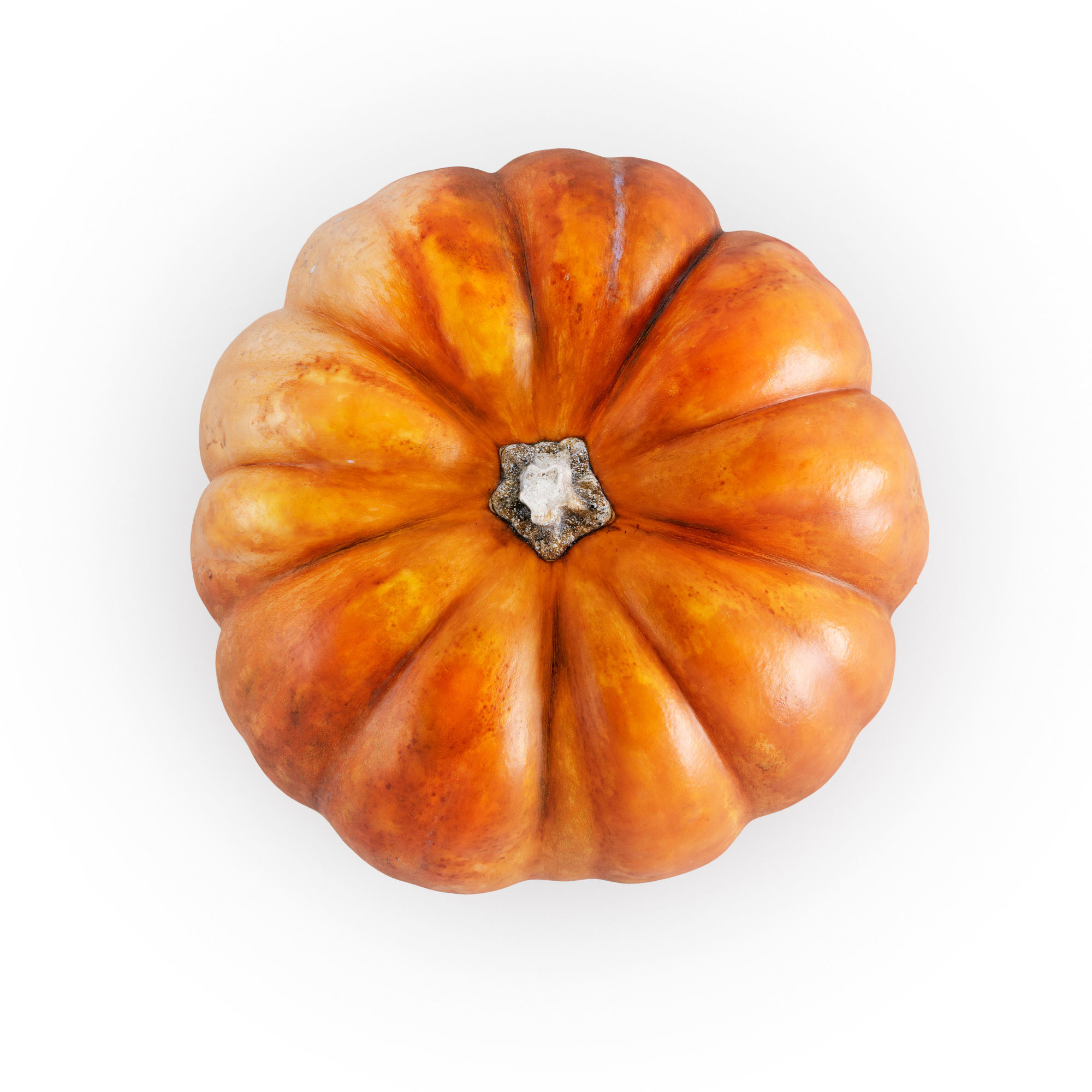 pumpkin set 3D model_4