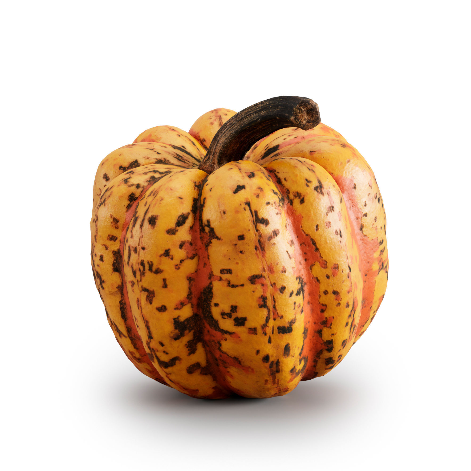 pumpkin set 3D model_2