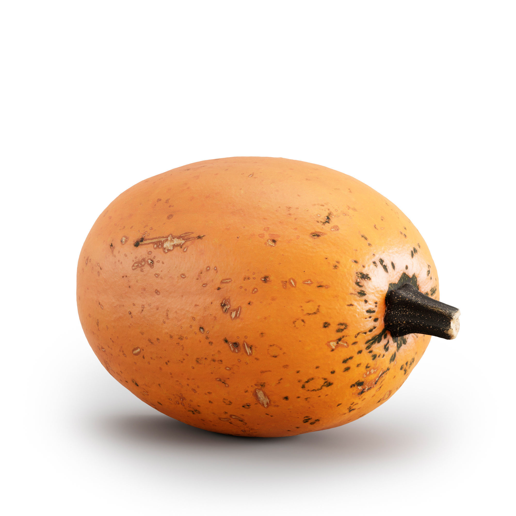 pumpkin set 3D model_3