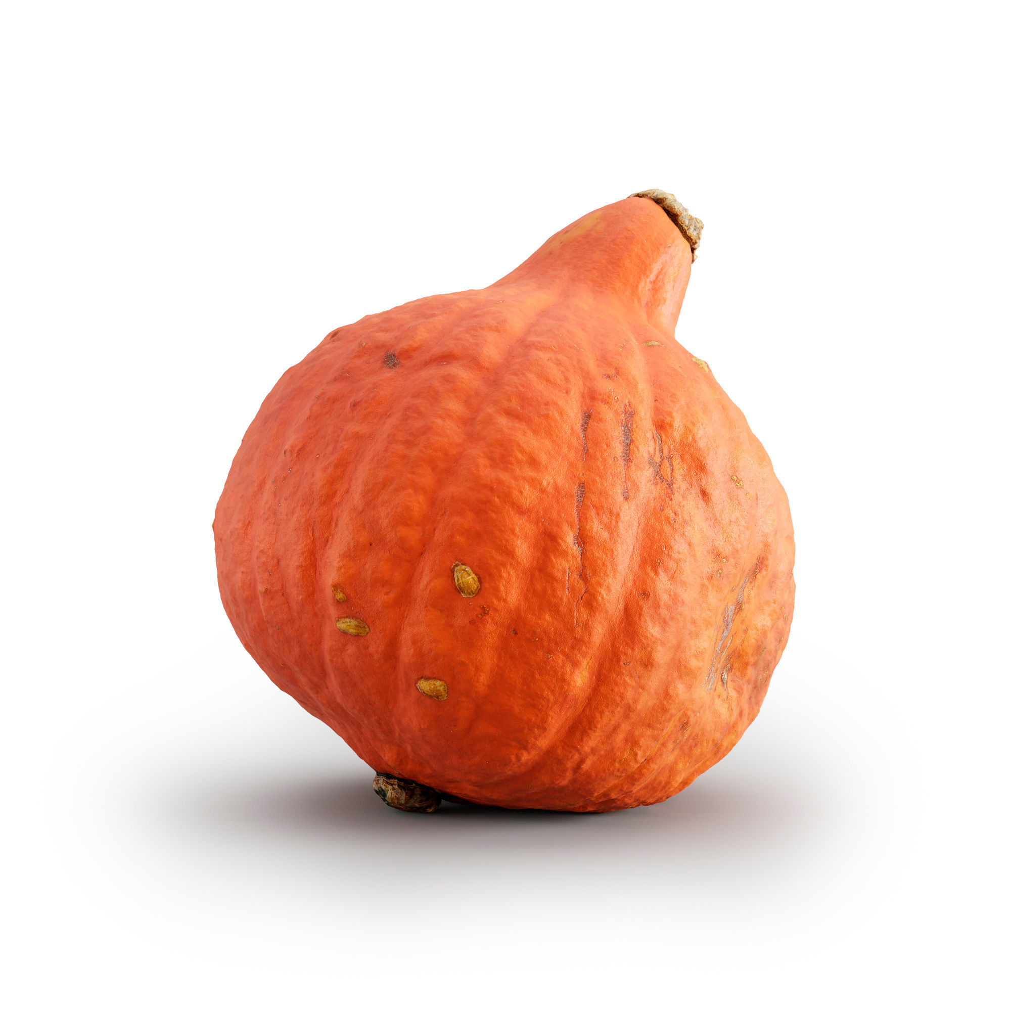 pumpkin set 3D model_5