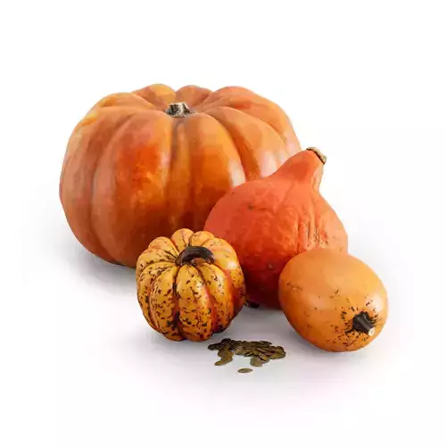 pumpkin set