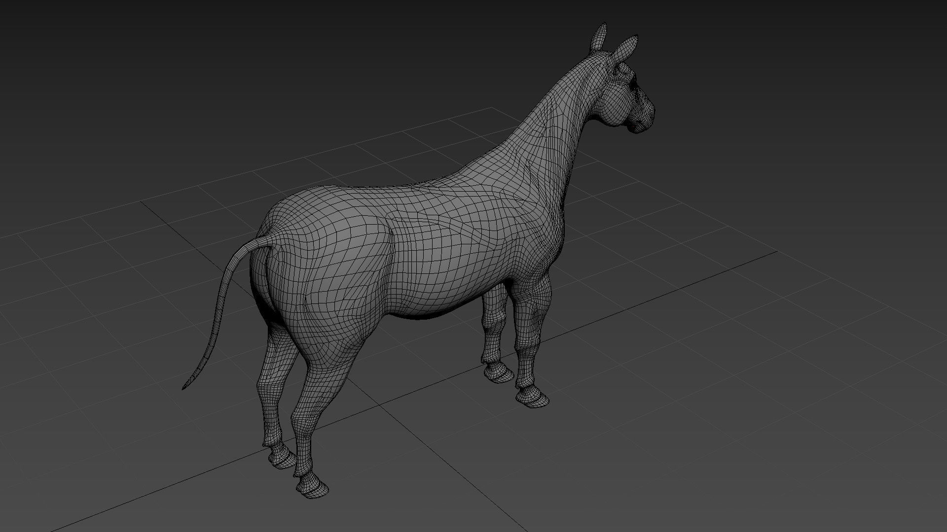 Pro Zebra - 4K 3D model_34