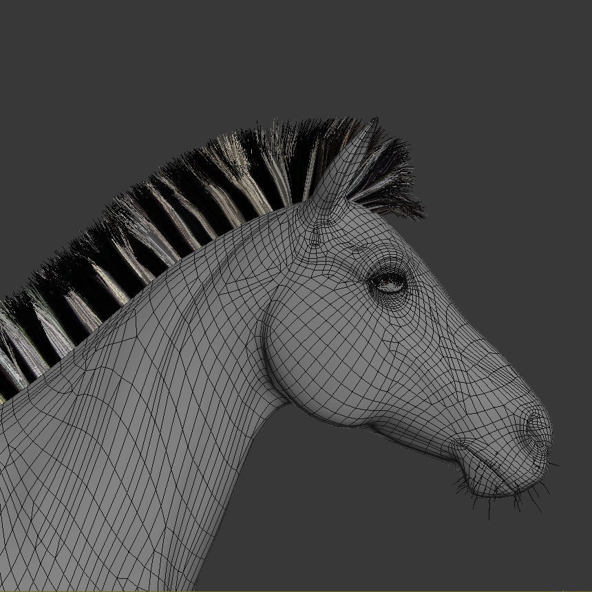 Pro Zebra - 4K 3D model_29
