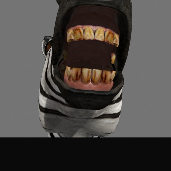 Pro Zebra - 4K 3D model_30