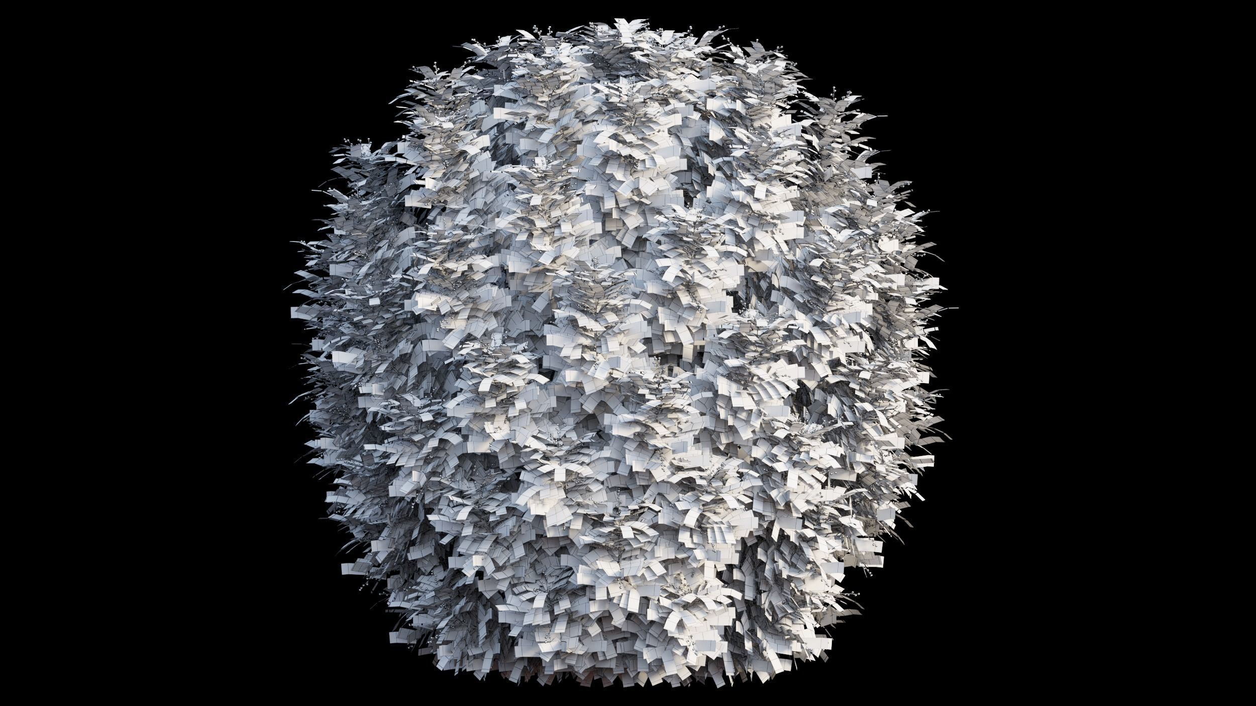 Aglaia duperreana plant set 05 3D model_7