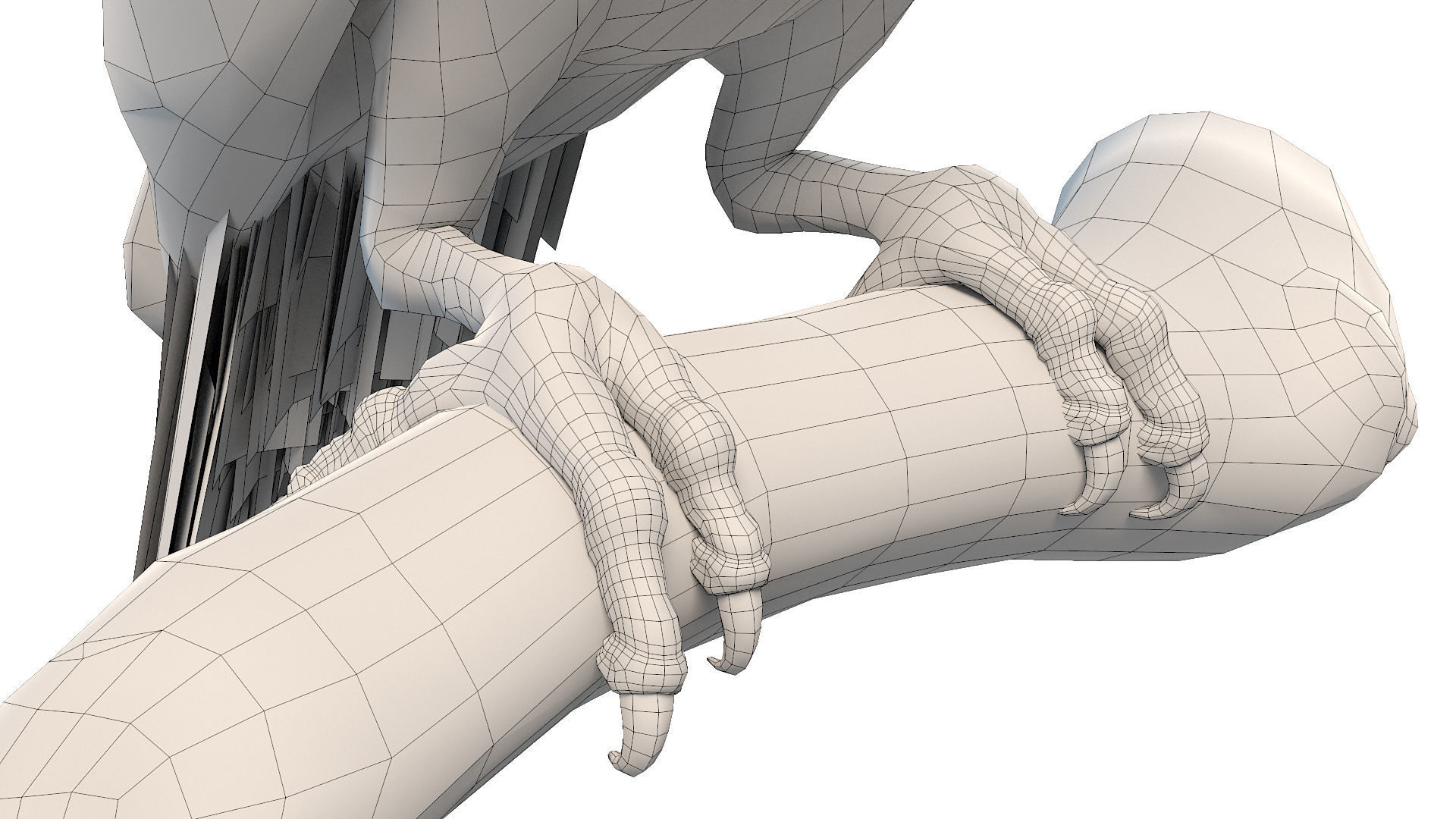 Macaw Collection perched on branch 3D model_29