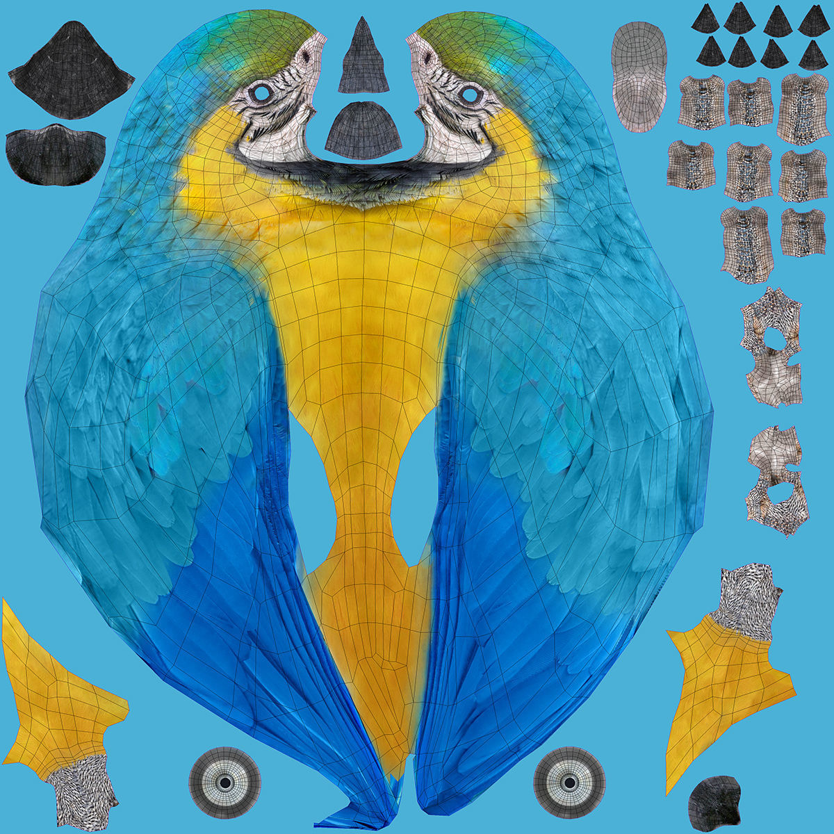 Macaw Collection perched on branch 3D model_16