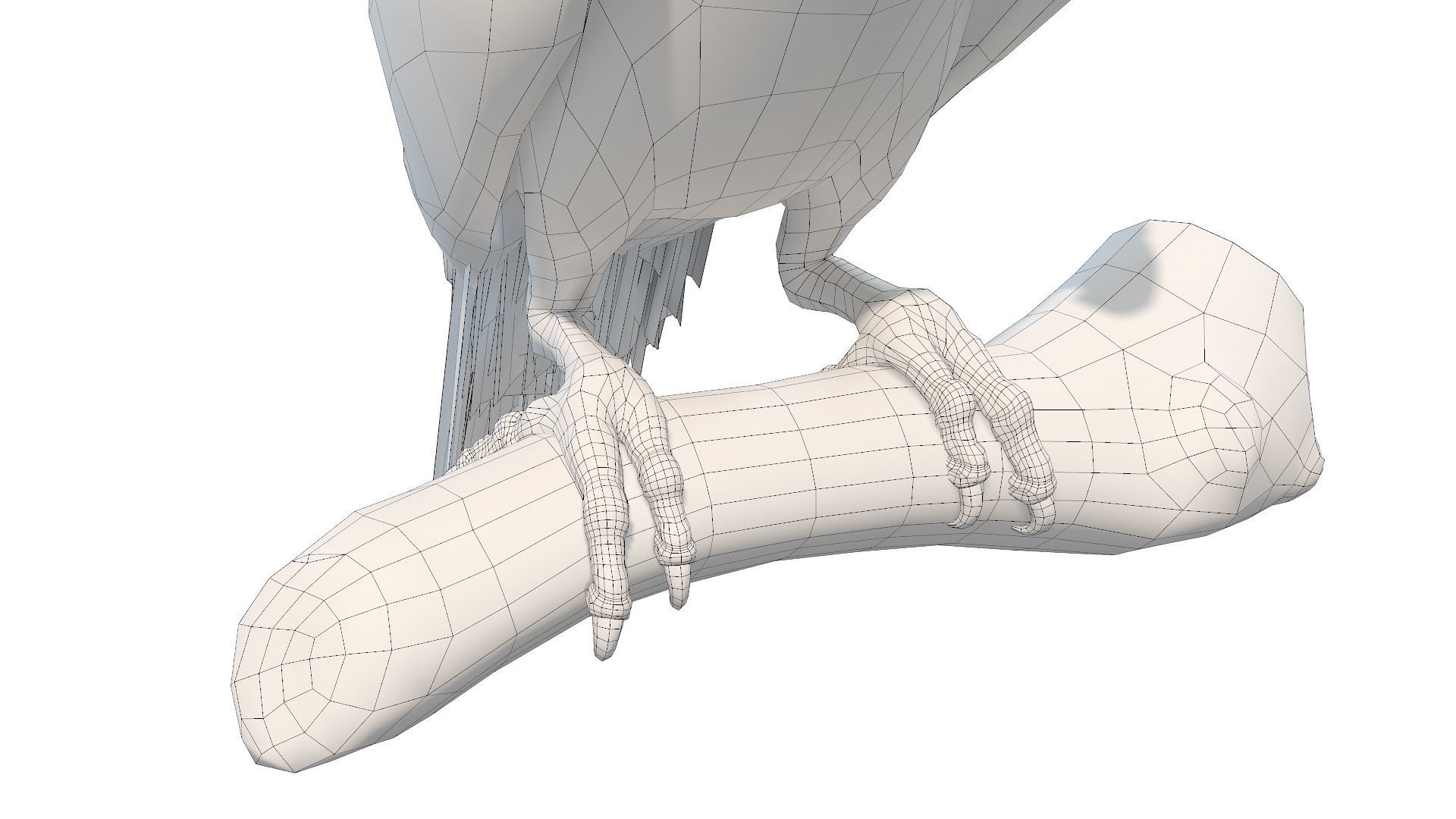 Macaw Collection perched on branch 3D model_12