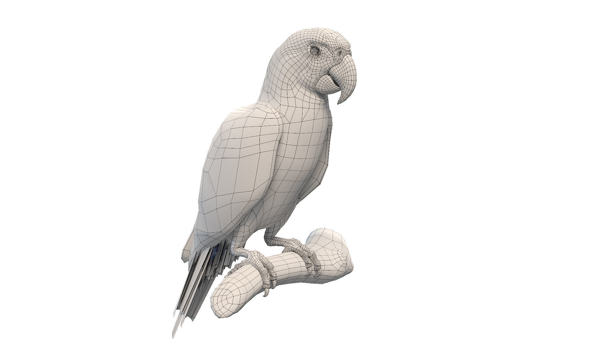 Macaw Collection perched on branch 3D model_27