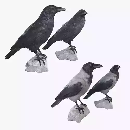 Raven Collection pair of crow statues