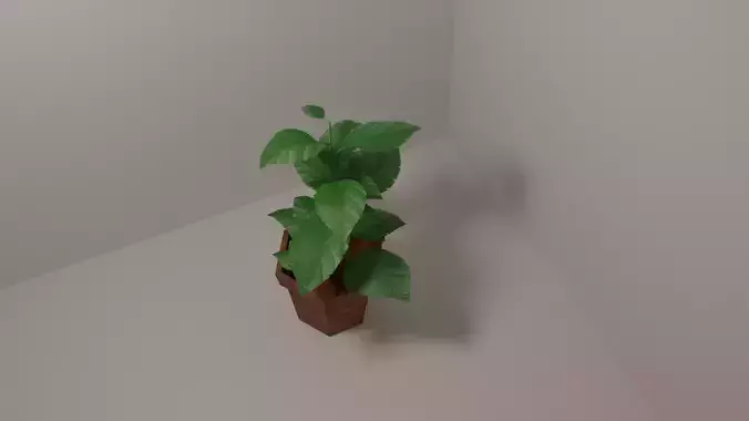 Plant in vase