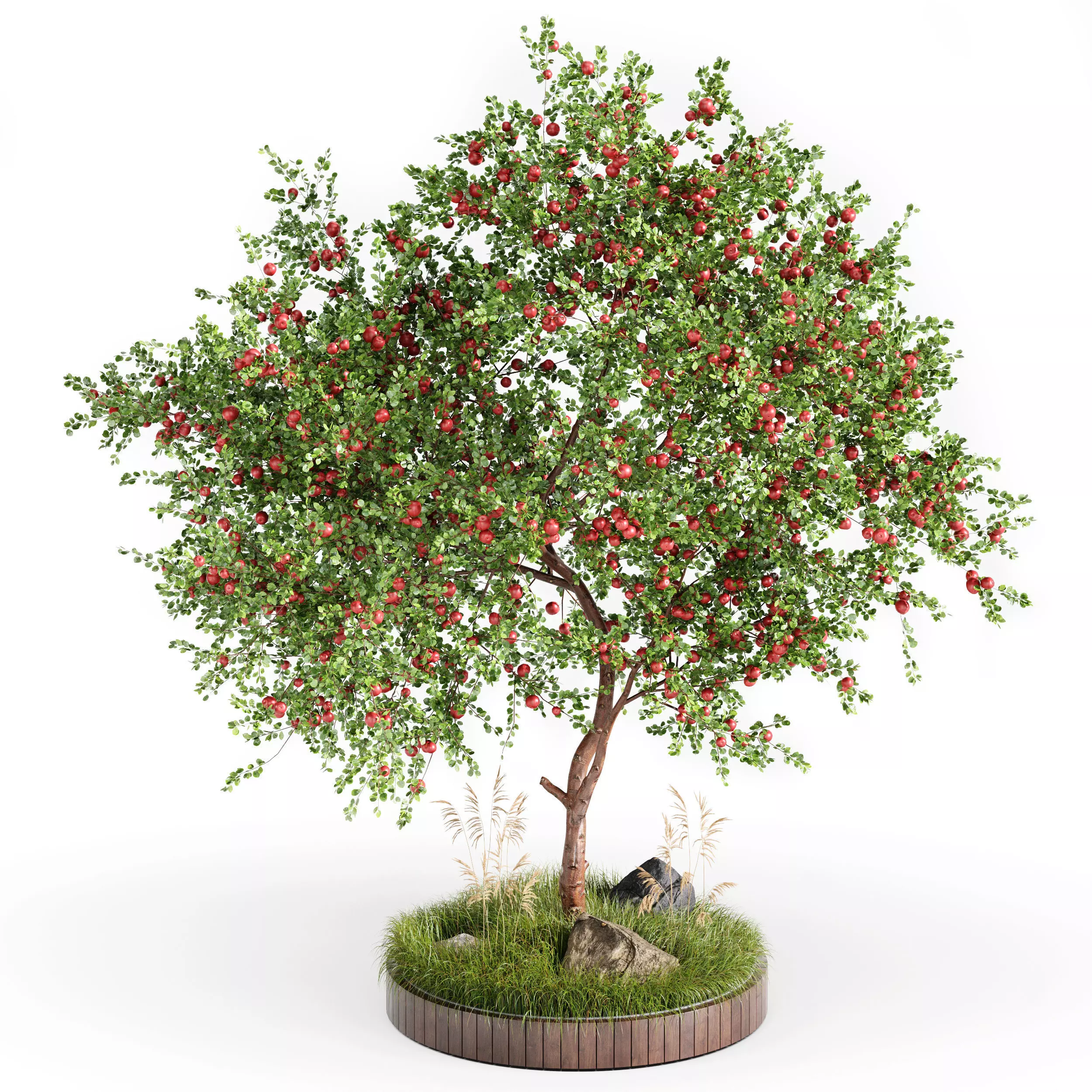 Outdoor Plant Set 003 Apple tree garden design 3D model