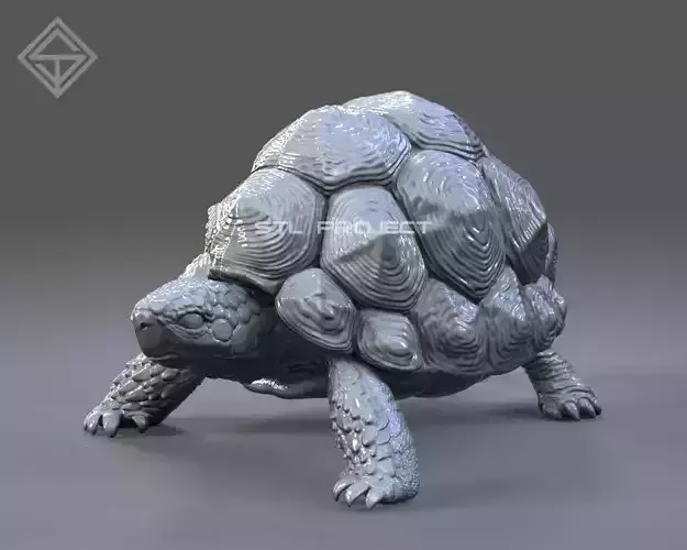 Star Tortoise 3D print model