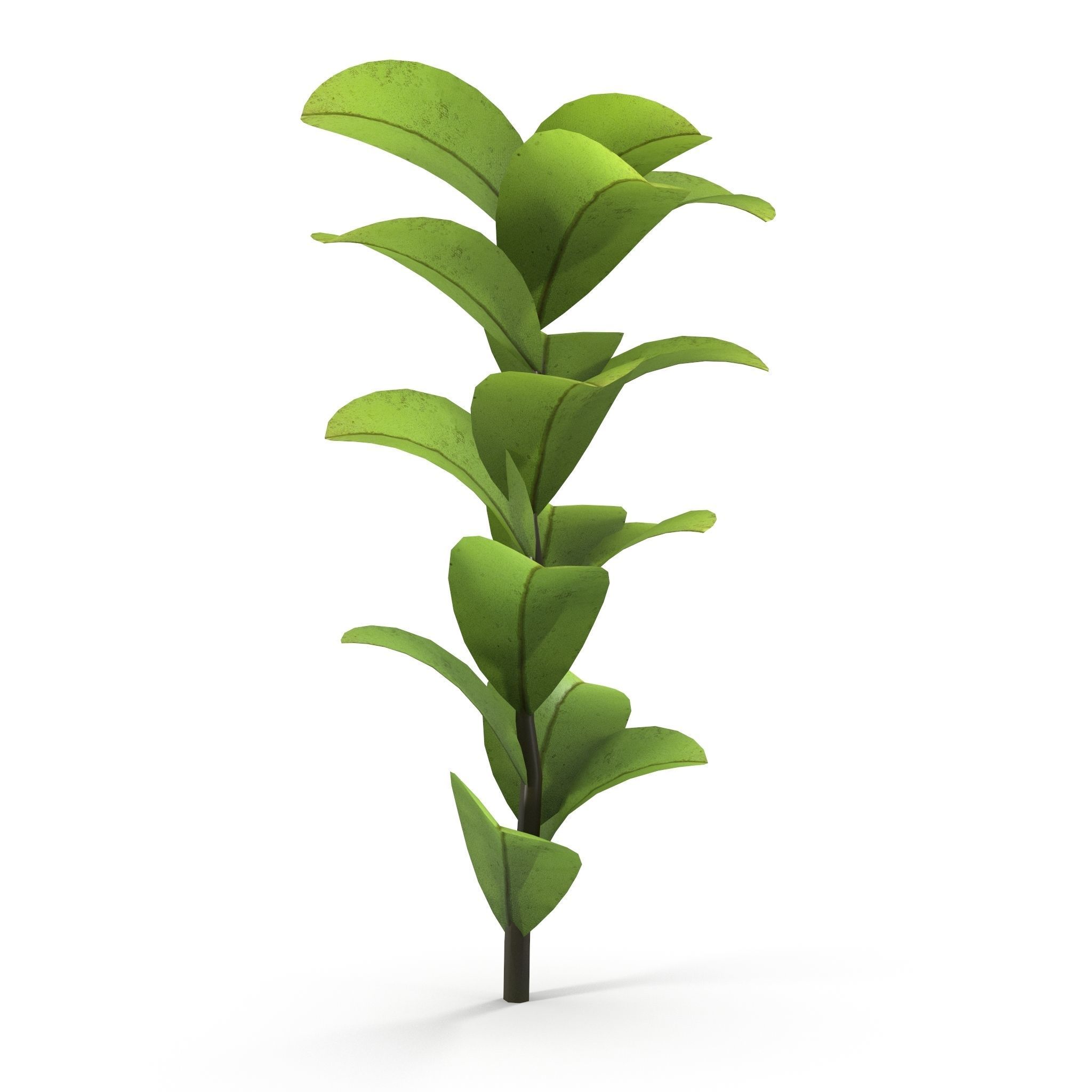 Dotted  moss Low-poly 3D model_6