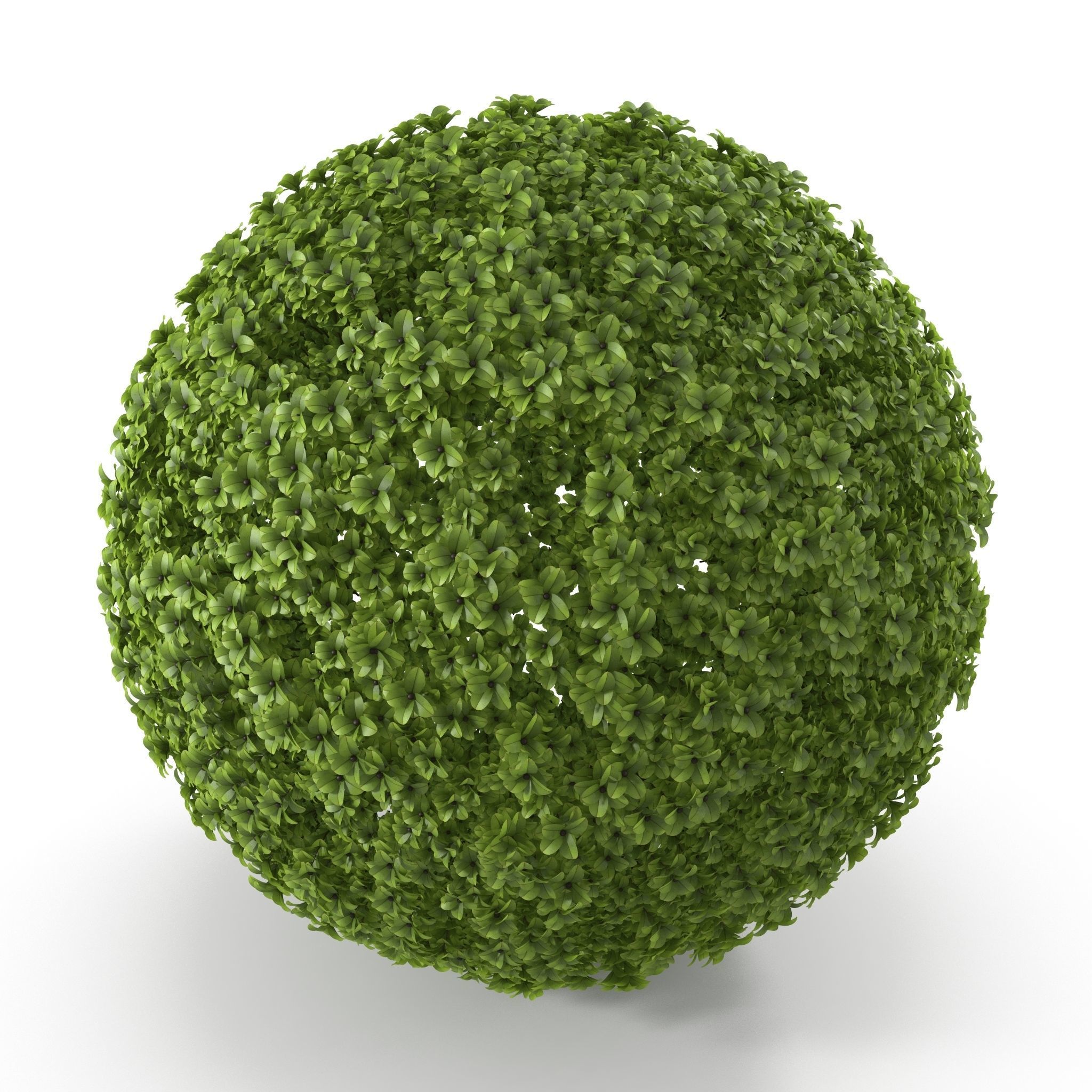 Dotted  moss Low-poly 3D model_1