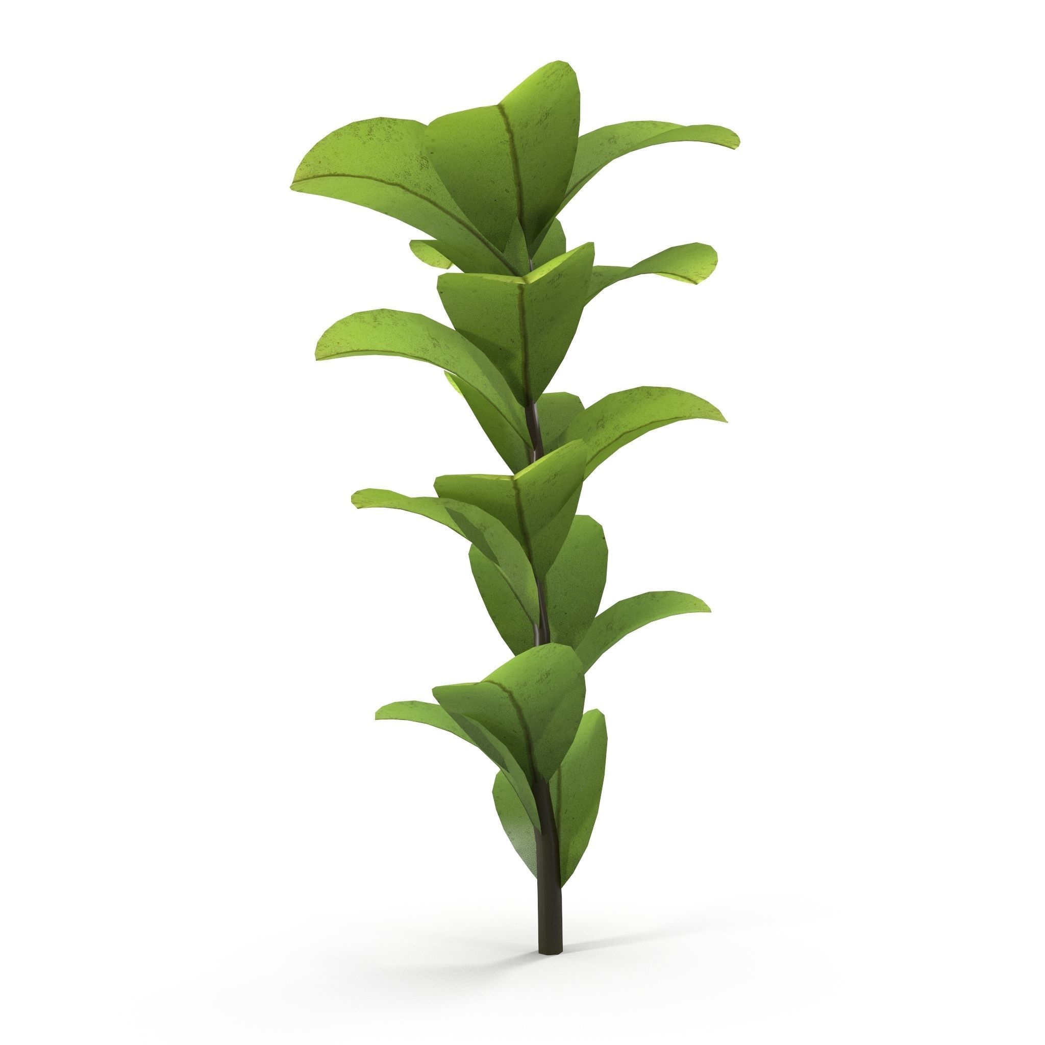 Dotted  moss Low-poly 3D model_8