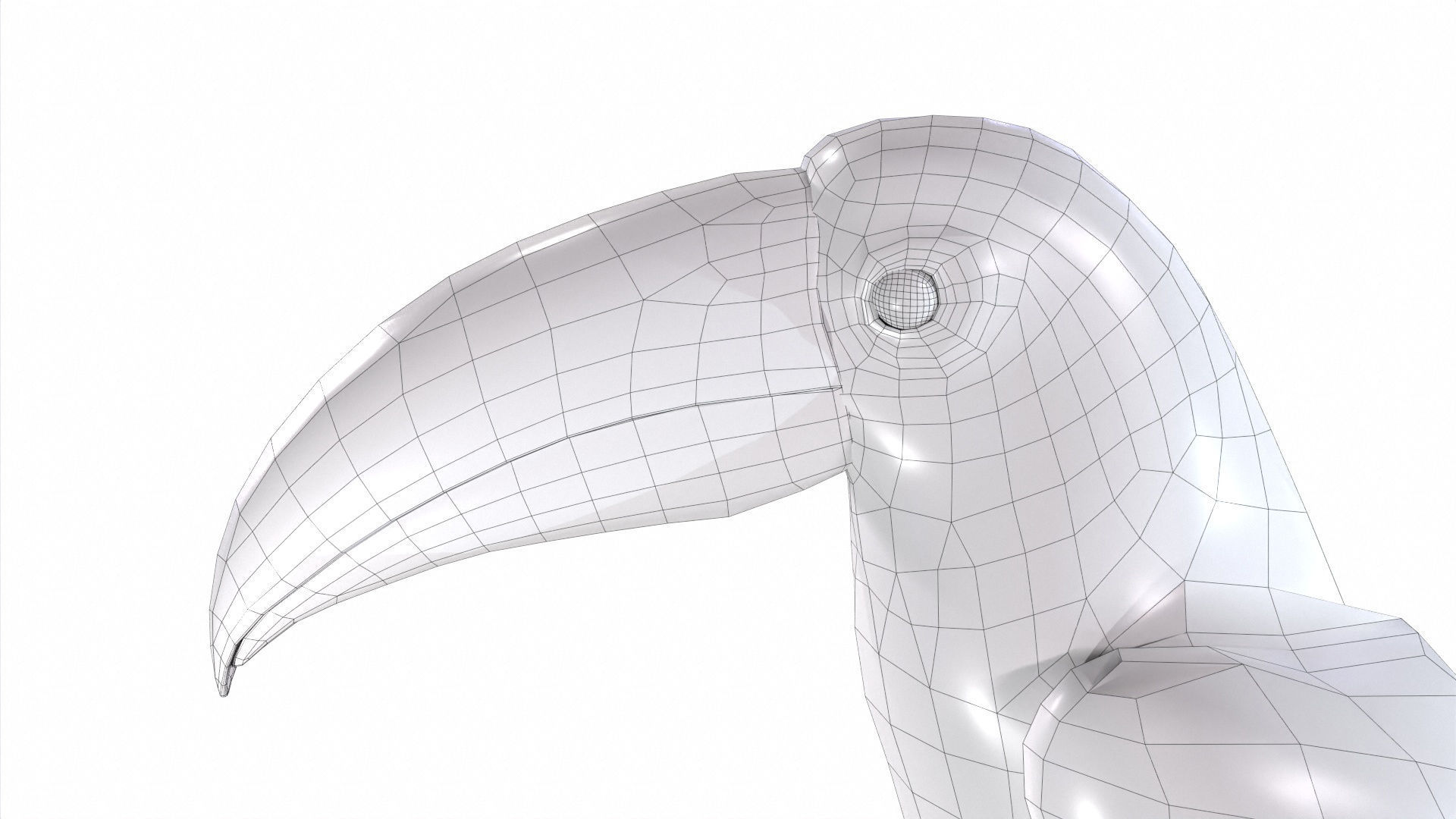 Tropical Birds Collection 3D model_42