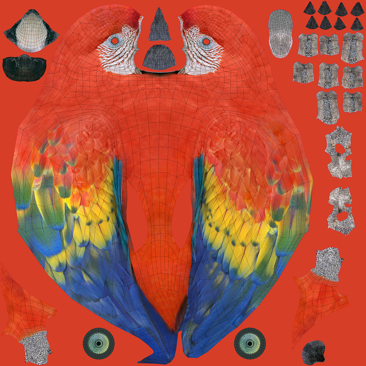 Tropical Birds Collection 3D model_35