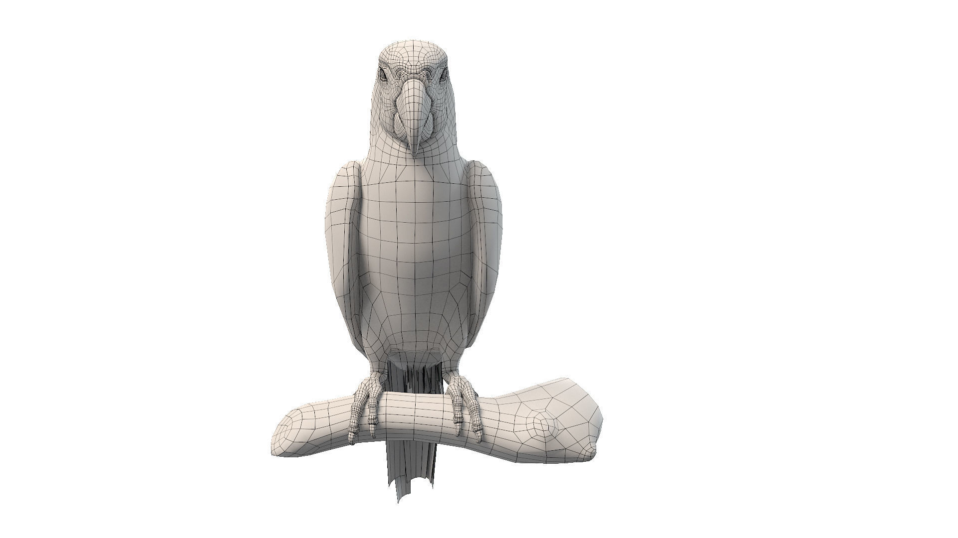 Tropical Birds Collection 3D model_28