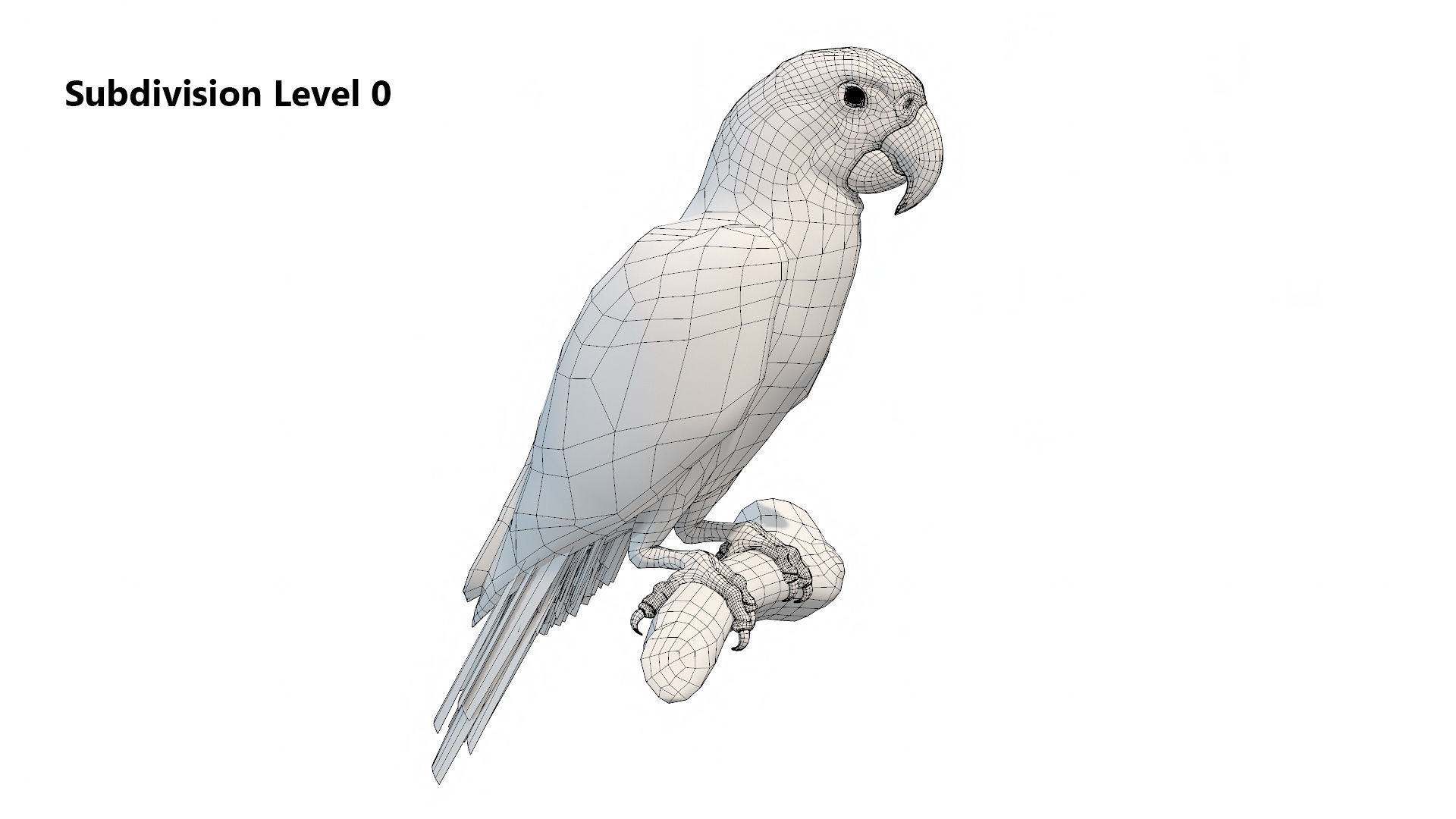 Tropical Birds Collection 3D model_15