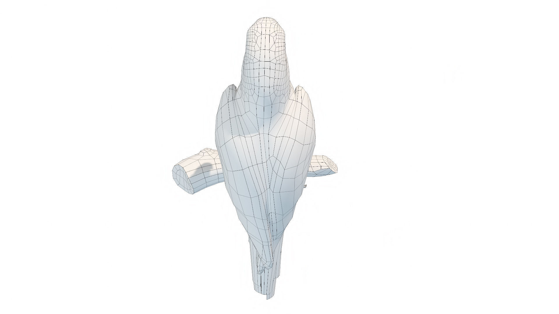 Tropical Birds Collection 3D model_12