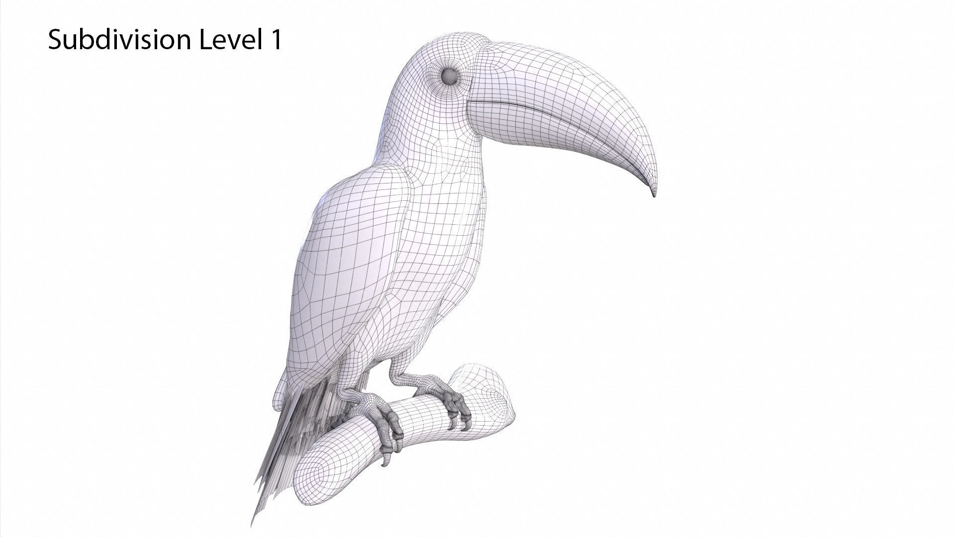 Tropical Birds Collection 3D model_46
