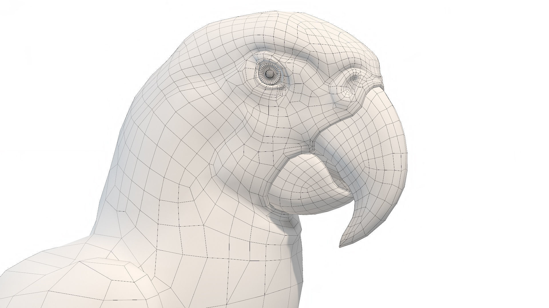 Tropical Birds Collection 3D model_14