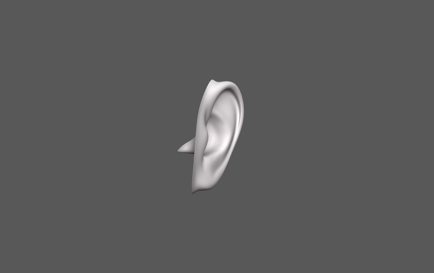 Ear Human 3D model_3
