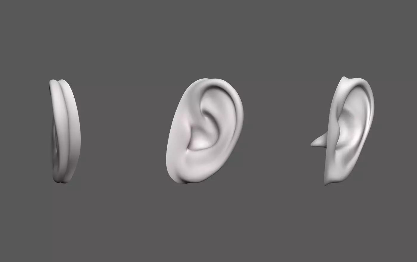 Ear Human 3D model_0